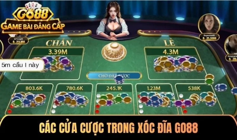 Các cửa cược trong Xóc đĩa Go88